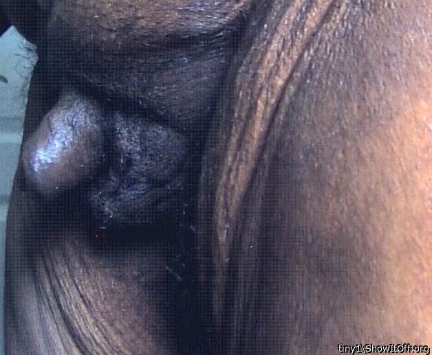 Photo of a boner from tiny1