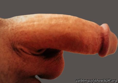 Photo of a python from colbtmguy