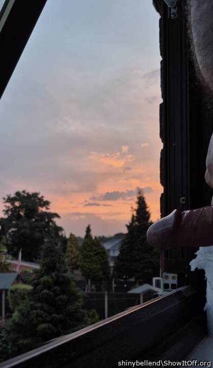 My Shiny Bell End Watching The Sun Rise