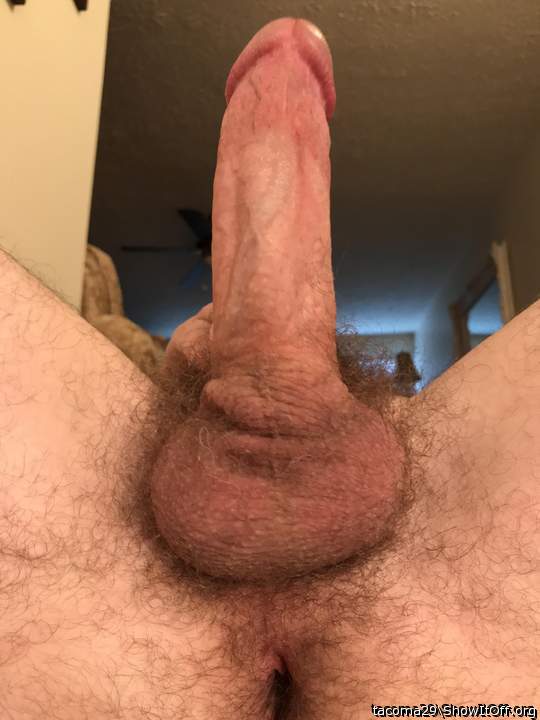 Great view thick hard cock!  