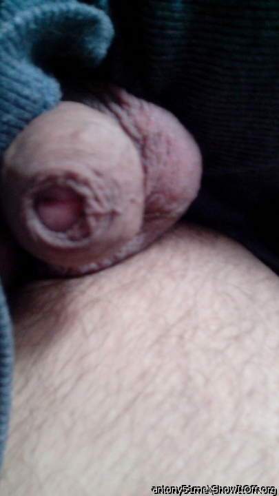 cock in rest position flaccid