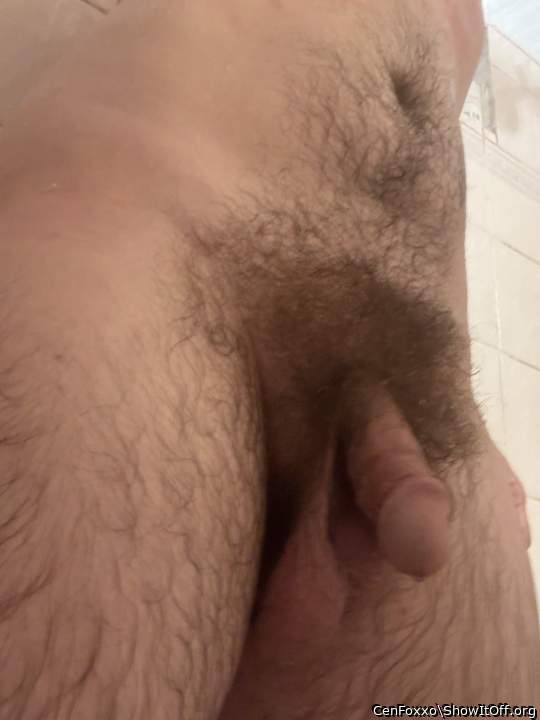 Photo of a middle leg from CenFoxxo