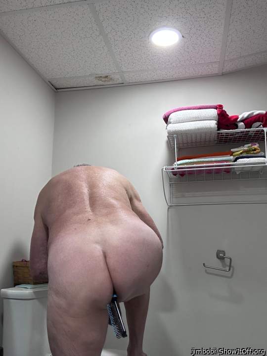 Photo of a bat from jimbobi