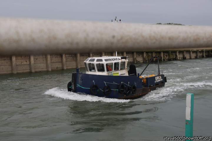 Photo of a snake from steve500