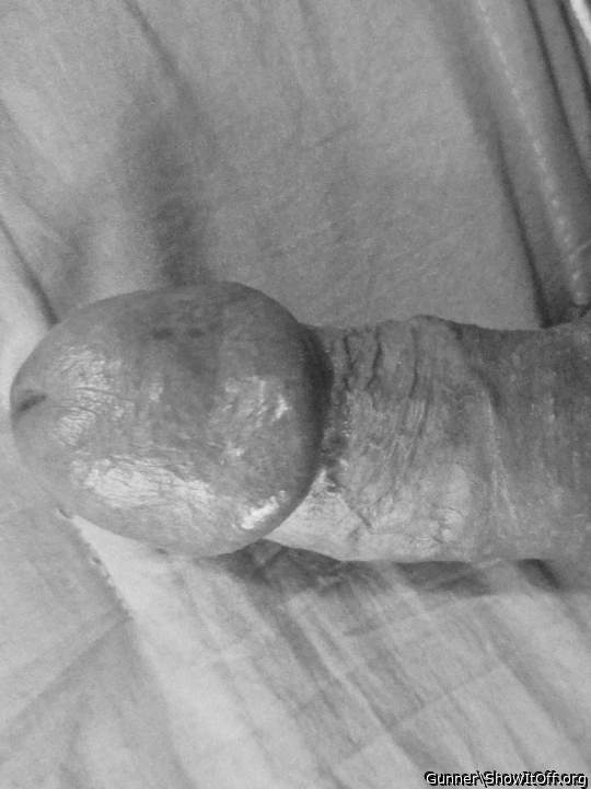 Photo of a snake from Gunner