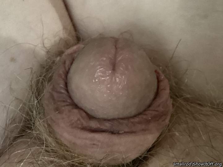 Photo of a sausage from smallrod