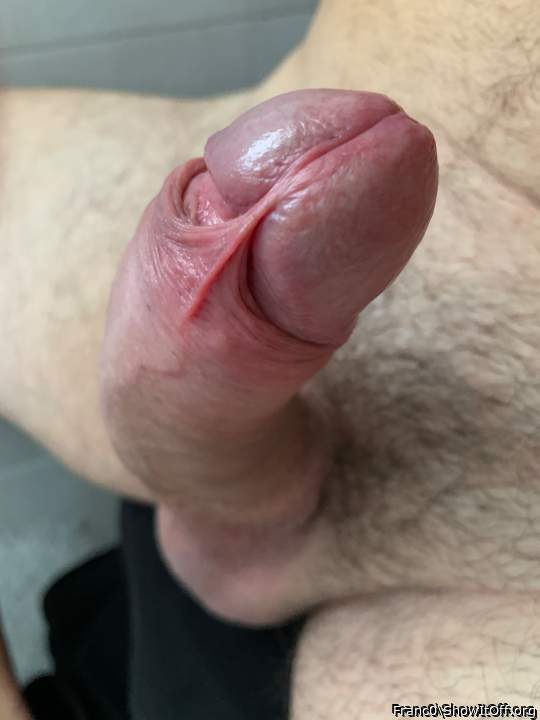 Photo of a cock from Franc0