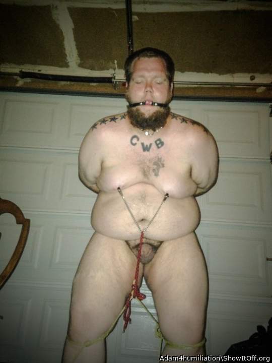 Exposed bear