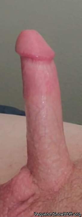 Photo of a ram rod from Pequeno