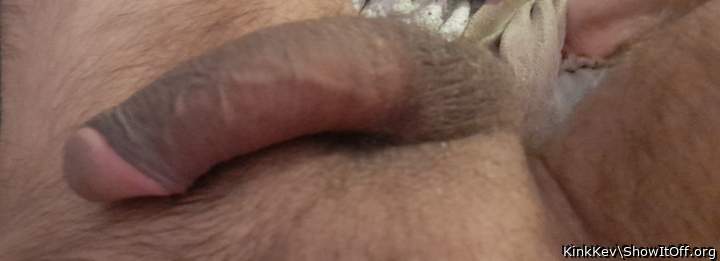 Photo of a lizard from KinkKev