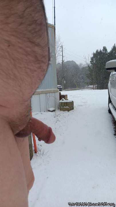 Photo of a rooster from tbird3030