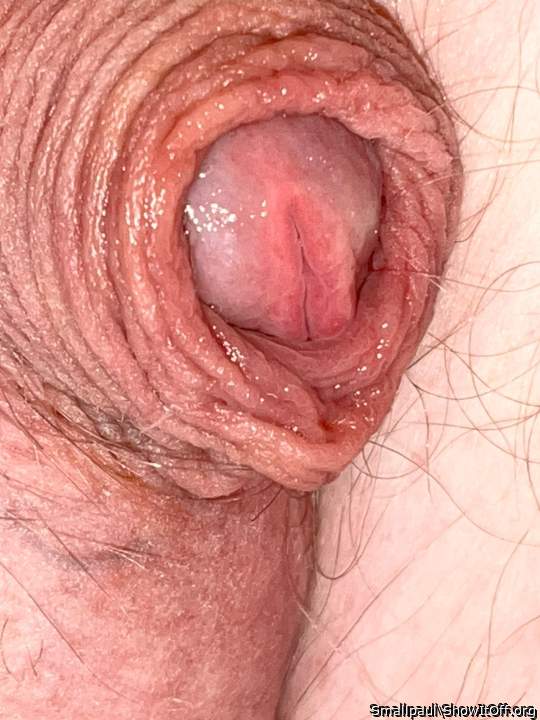 Photo of a dong from Smallpaul