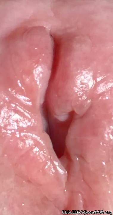 Which lip are you starting with?