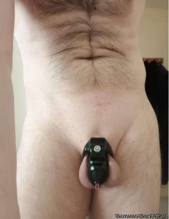 Photo of a dong from Shavenone