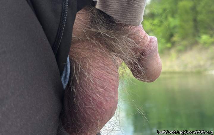 Photo of a dick from JustWondring