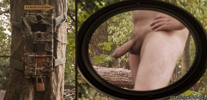 &#10173;  WILDLIFE-WATCHING !!  