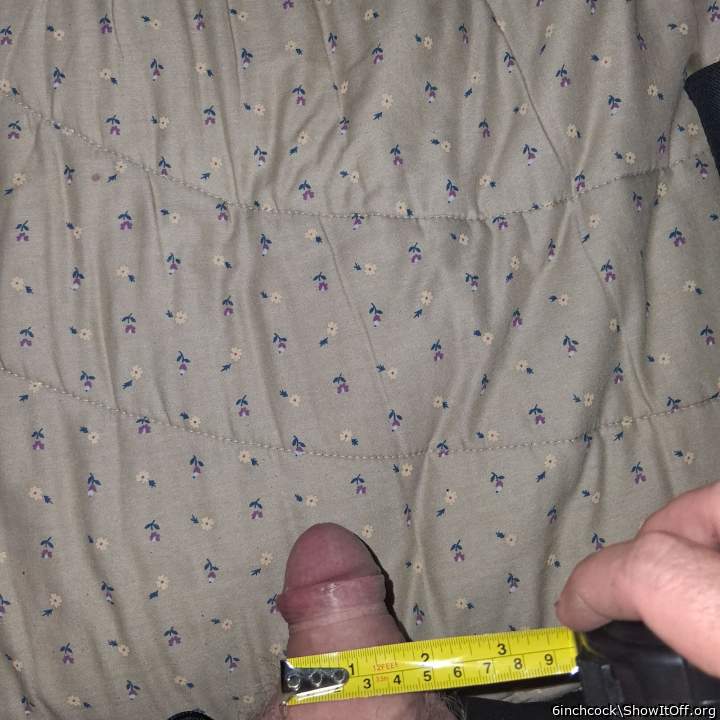 Photo of a boner from 6inchcock