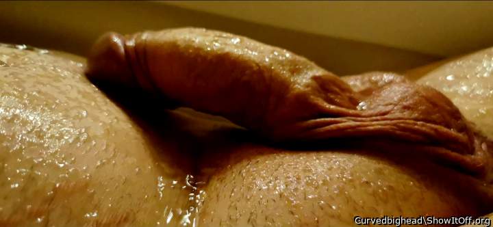 Photo of a middle leg from Curvedbighead