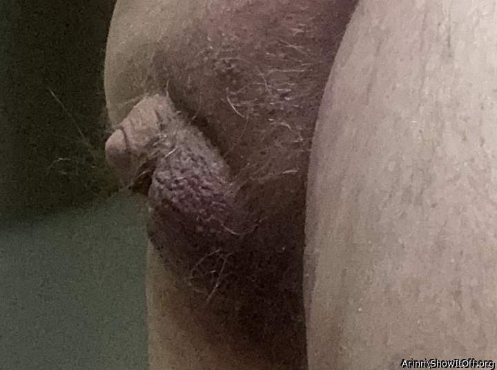 Testicles Photo from Arinn