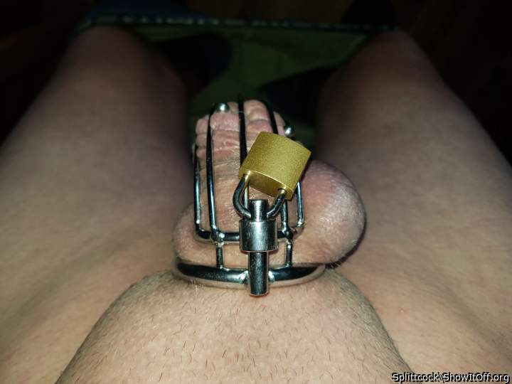 Photo of a hot dog from Splittcock
