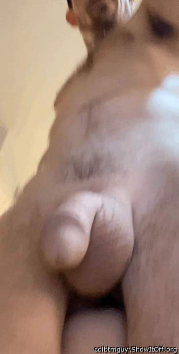 Photo of a snake from colbtmguy