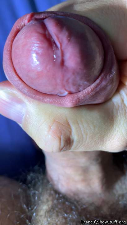 Photo of a python from Franc0