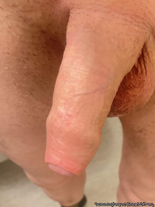Exquisite sexy beauty, lovely foreskin covered glans!!   