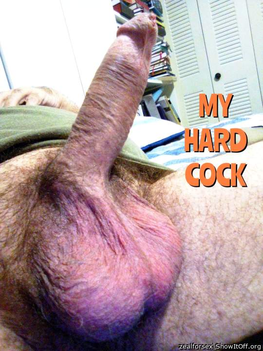 My Hard Cock!