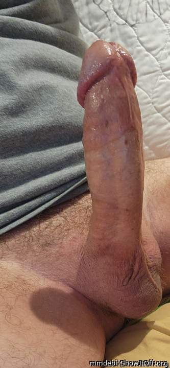 What a perfect erect cock!  