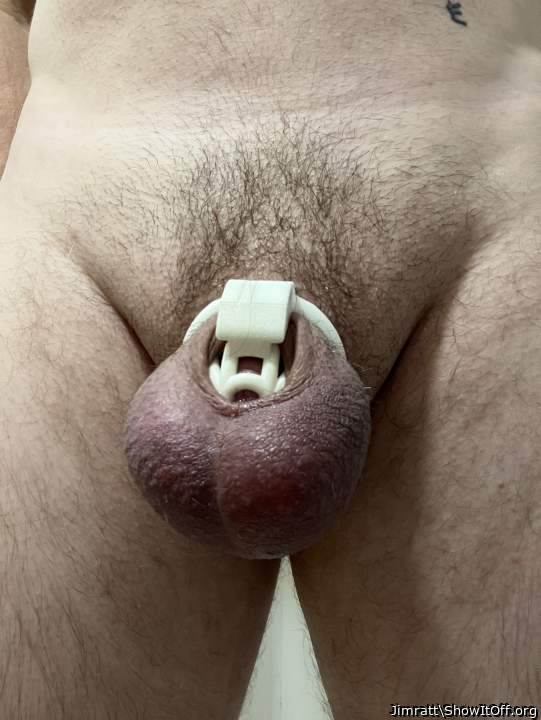 Photo of a pecker from Jimratt
