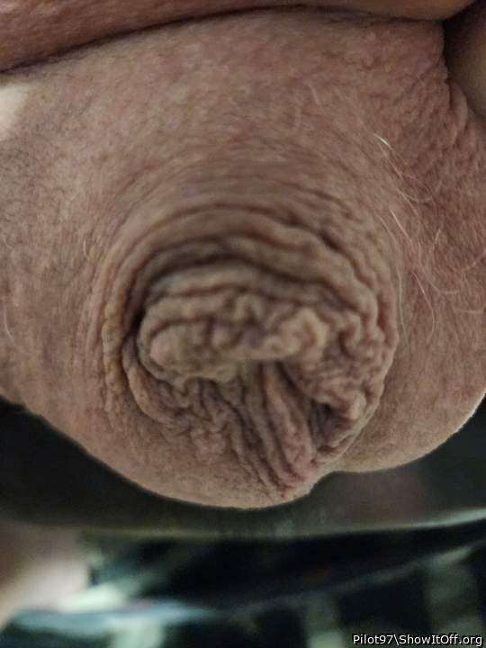 Photo of a private part from Pilot97