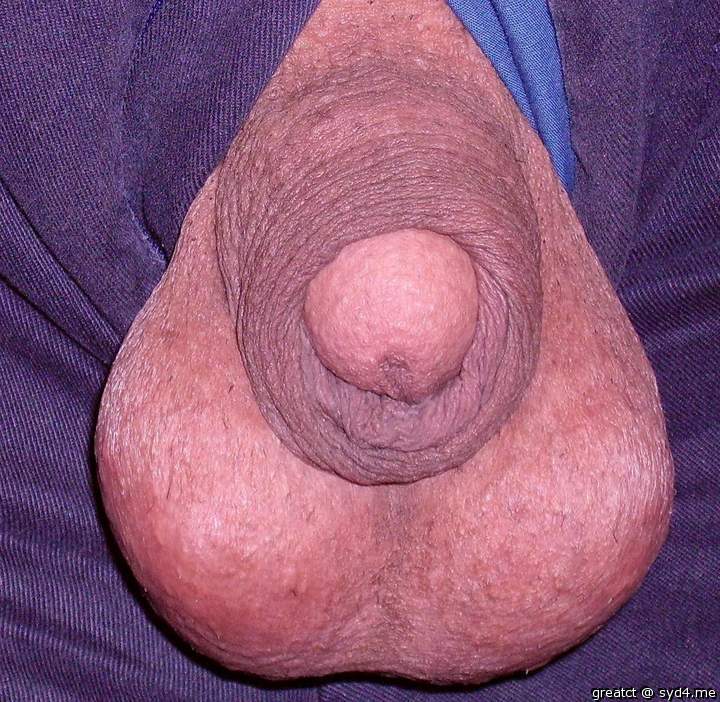 Great little dick !  