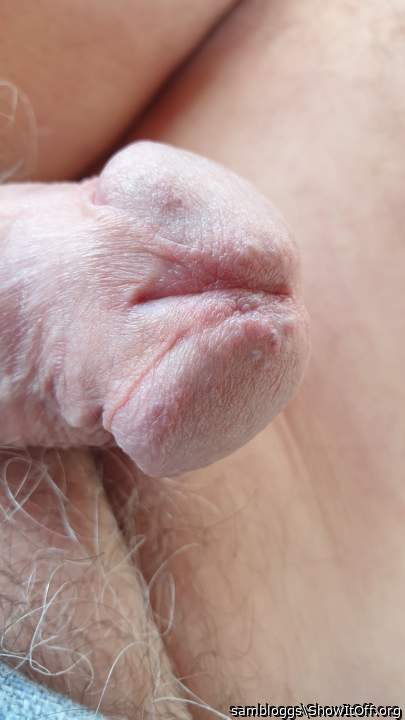 Photo of a horn from sambloggs