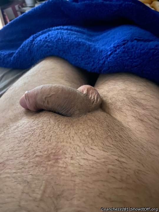 Photo of a third leg from Csanchezs281