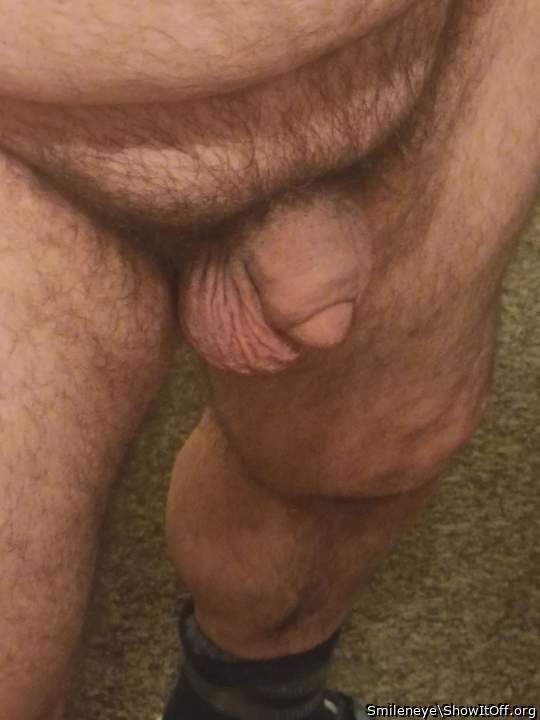 Photo of a lizard from Smileneye