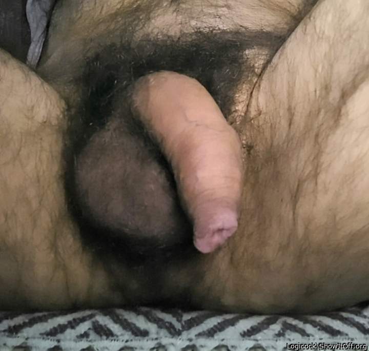 Photo of a boner from Logicock