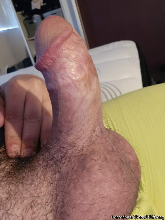 Photo of a bald-headed mouse from Horrorbear