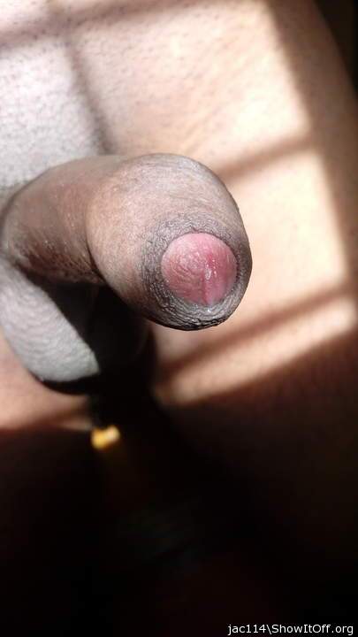 Photo of a snake from jac114