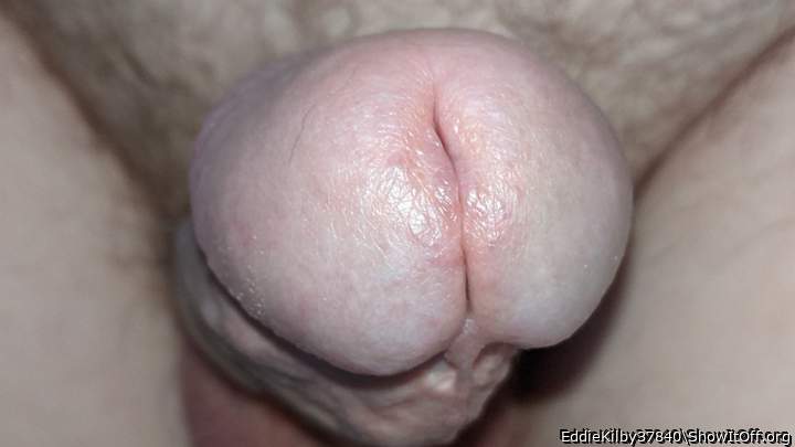 Penis Face