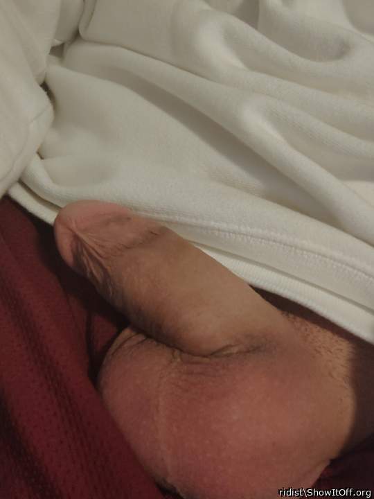 Testicles Photo from ridist