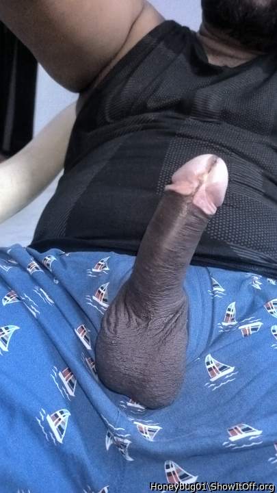 Photo of a ram rod from Honeybug01