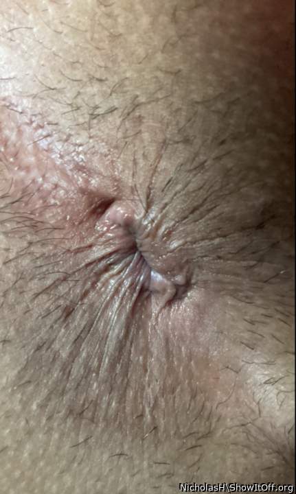 Perfect asshole