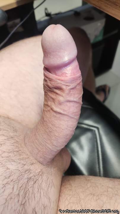 Photo of a lizard from CvvSantos1967