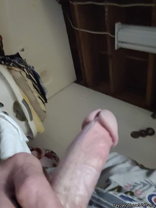 Photo of a bald-headed mouse from JayJay