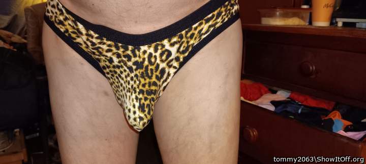 Photo of a bat from tommy2063