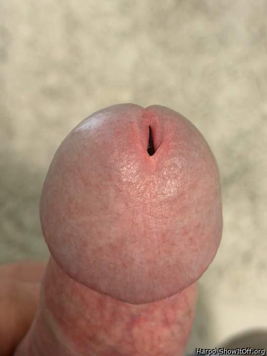 Photo of a penis from Harpo