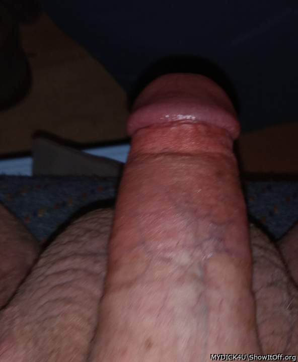 Photo of a horn from MYDICK4U