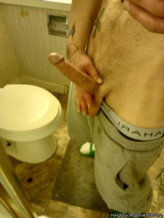 Photo of a cavalier from Hardguy38