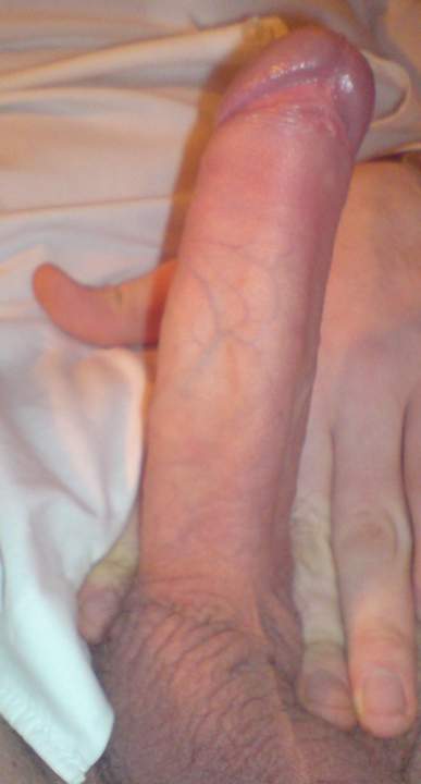 Photo of a middle leg from StevieD
