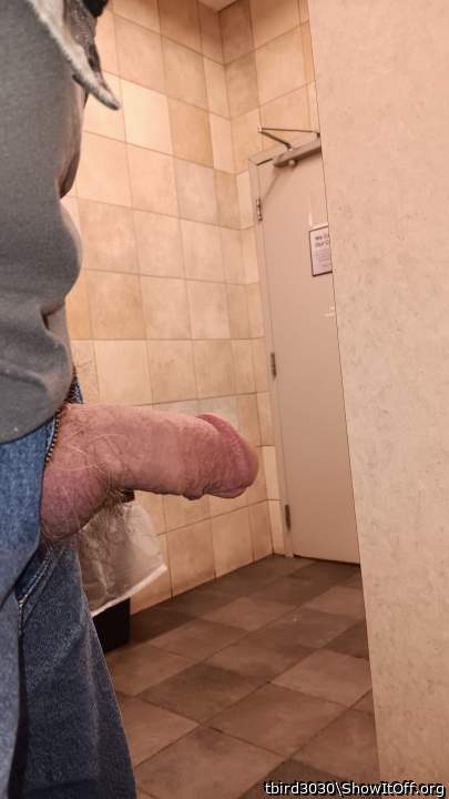 Photo of a cavalier from tbird3030